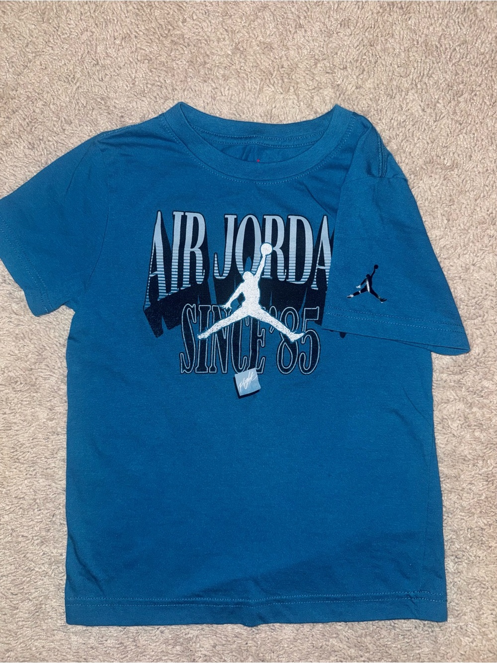 Air Jordan T-Shirt (Youth L)